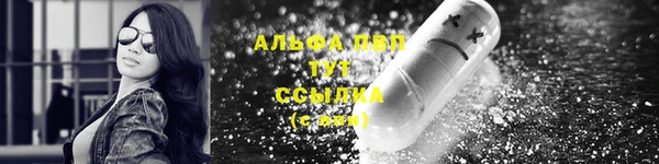 мдпв Богородск