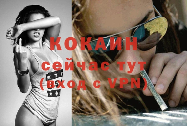 гашиш Богданович