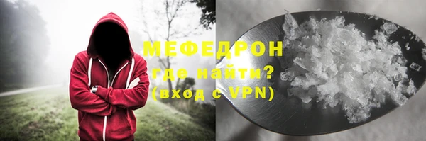 мдпв Богородск