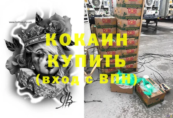 мдпв Богородск