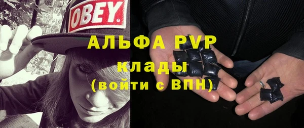 гашиш Богданович
