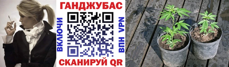 Бошки марихуана план Урюпинск
